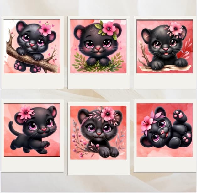 Lingettes Panthère noire
